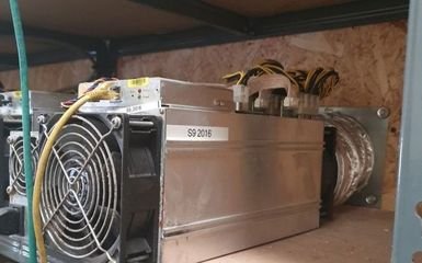 Expansive cryptocurrency mining farm with rows of ASICs