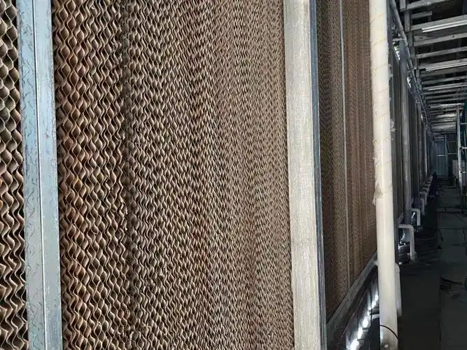 Close up shot of several ASICs on a mining rig