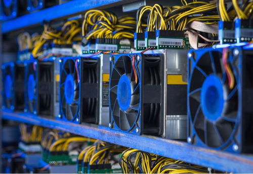 State-of-the-art Dogecoin mining rigs running efficiently in a hosted mining farm