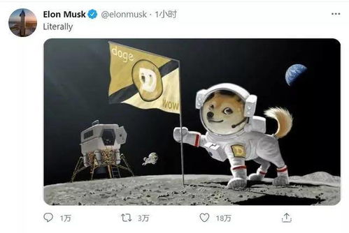 Dogecoin Mining Opportunities